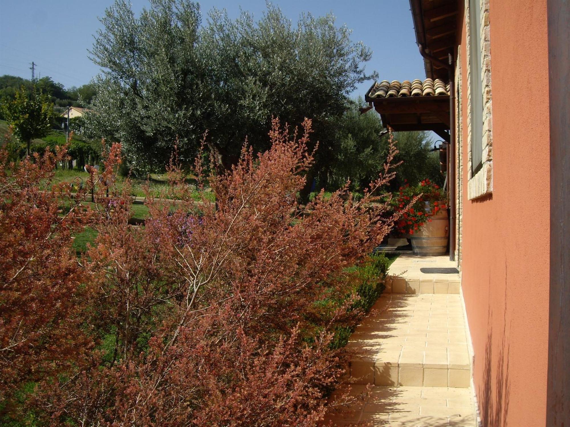Agriturismo Il Borgo Degli Ulivi Roseto Degli Abruzzi Exteriör bild