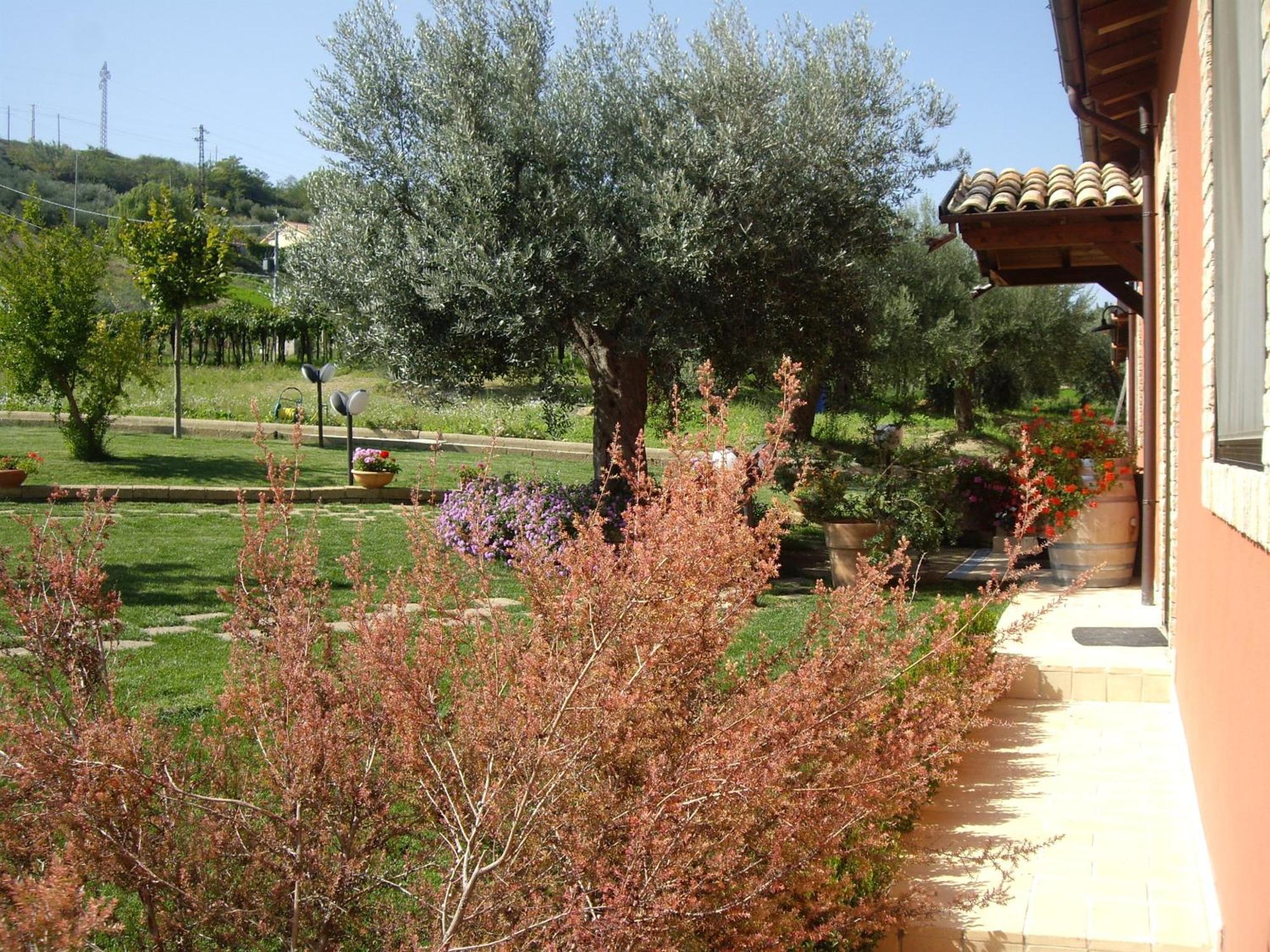 Agriturismo Il Borgo Degli Ulivi Roseto Degli Abruzzi Exteriör bild