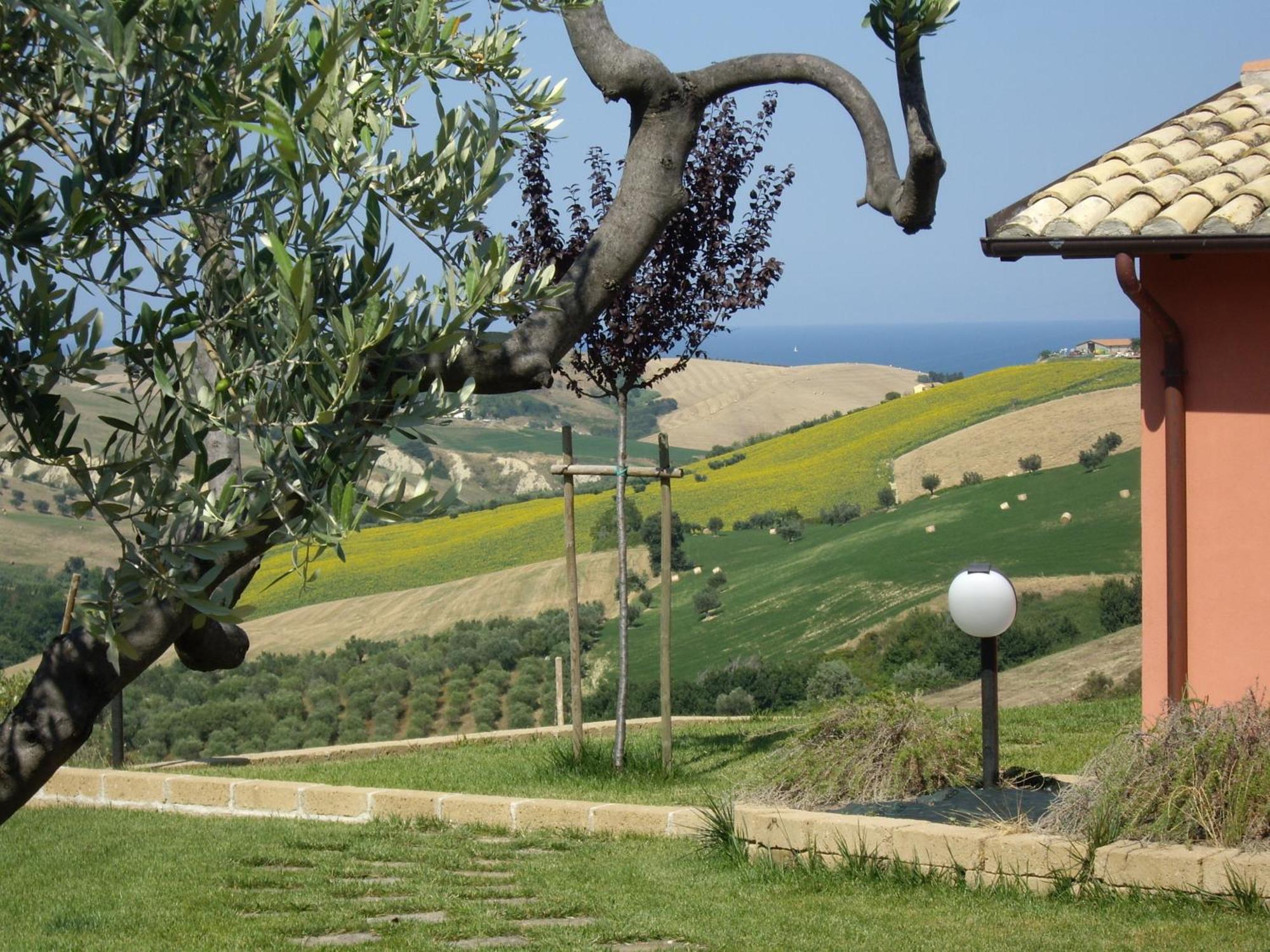Agriturismo Il Borgo Degli Ulivi Roseto Degli Abruzzi Exteriör bild